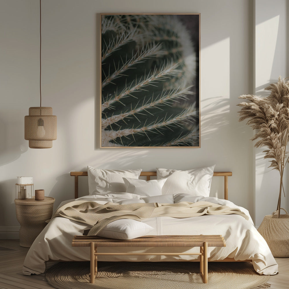Cactus II Poster